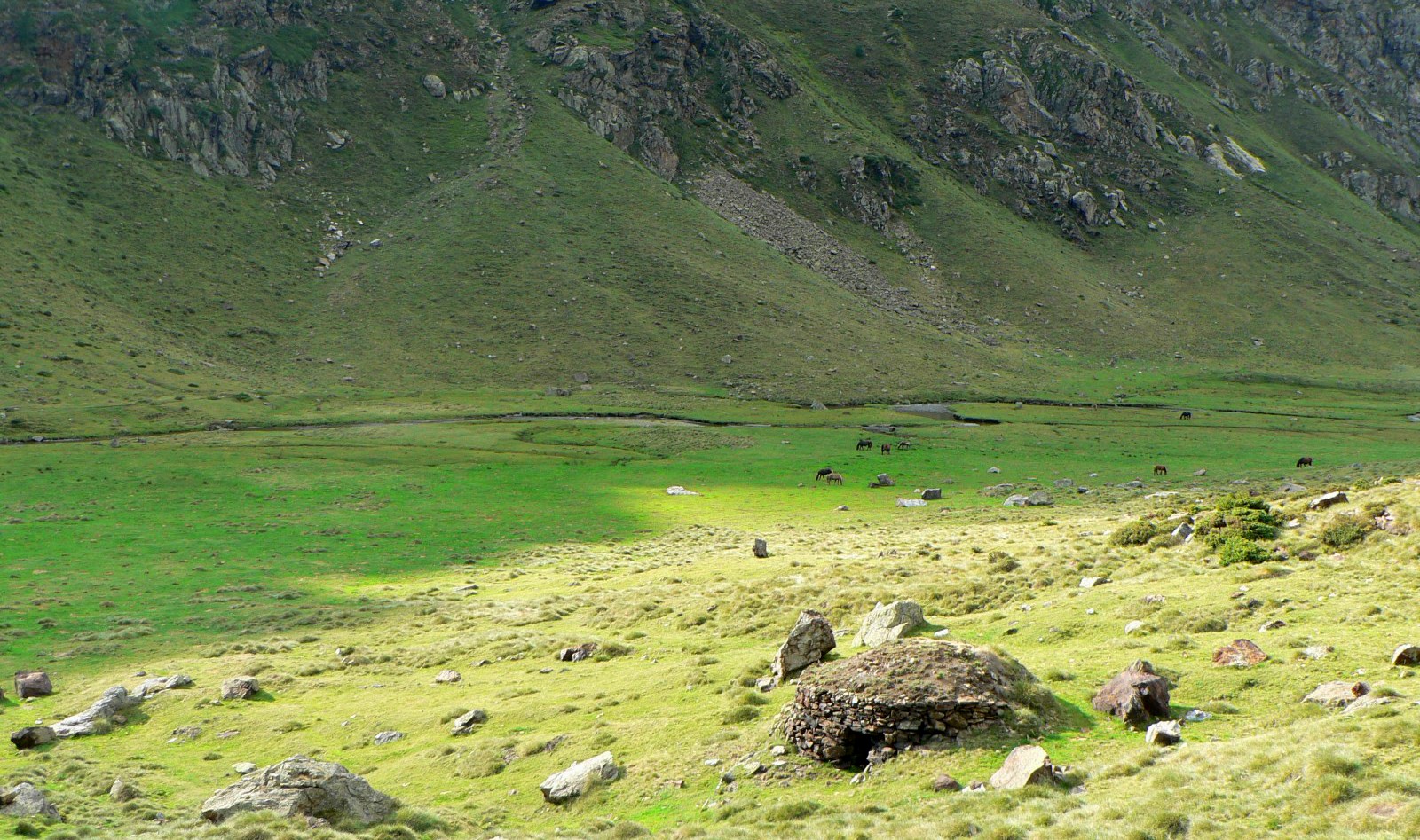 Les Orris du Vicdessos