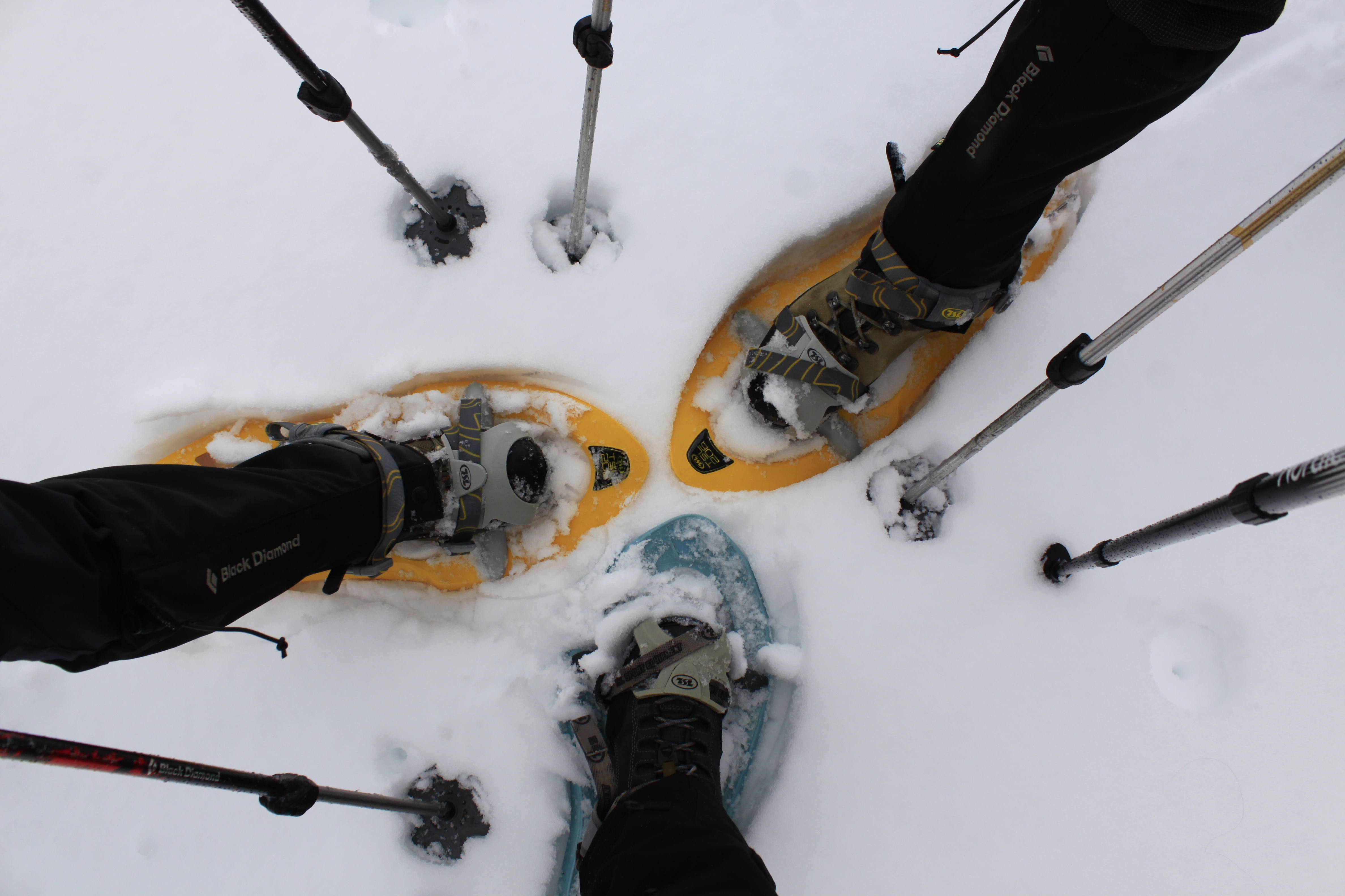 Découverte des raquettes à neiges